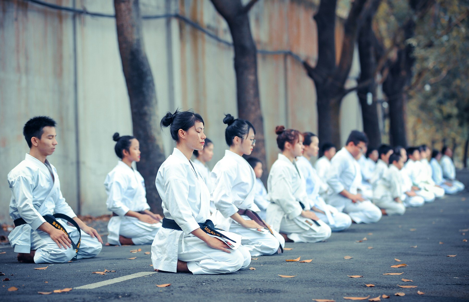 A real martial arts group in practice